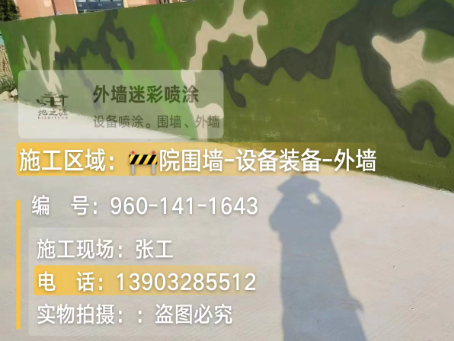 烟台 迷彩漆喷涂价格（按平方米计费）