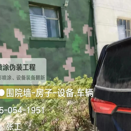 烟台数码迷彩漆施工